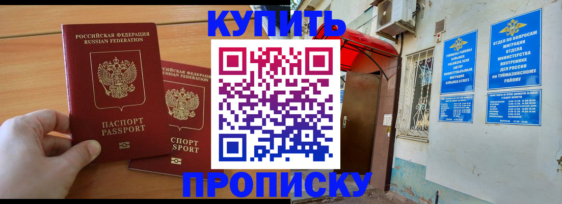 прописка штамп в Мурино
